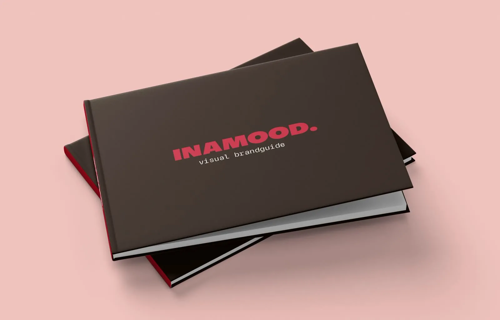 Two copies of the INAMOOD visual brandguide stacked
