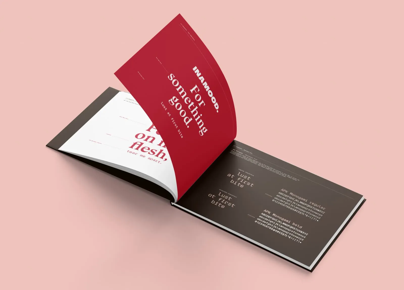 Brandguide spread showing font combinations and the mono specimen