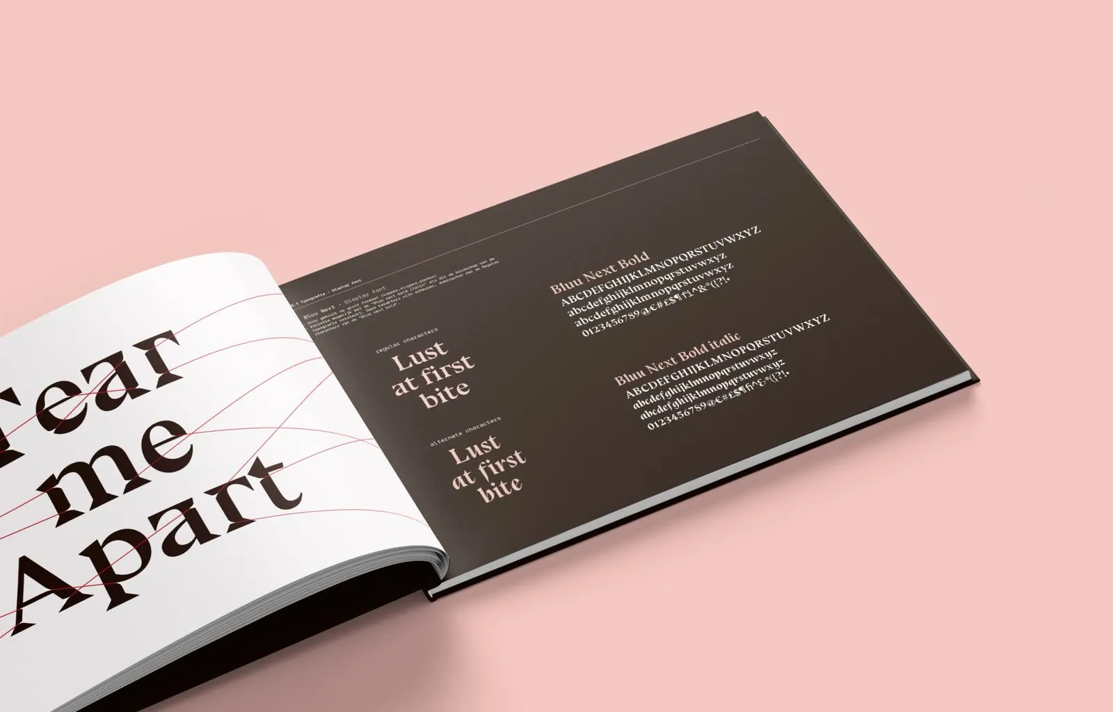 Brandguide spread showing the Bluu Next display type specimen