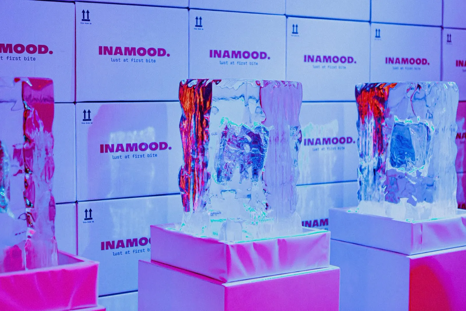 Blocks of ice with meat frozen inside, lit pink against a wall of INAMOOD shipping boxes